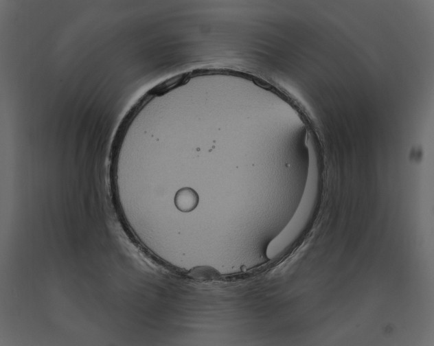 X0000092110932200710101140
