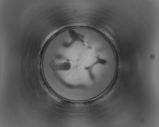 X0000092110933200710101140