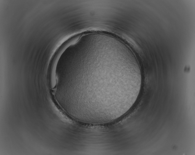 X0000092110934200710101140