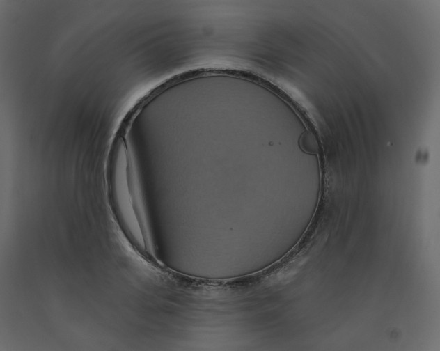 X0000092110935200710101140