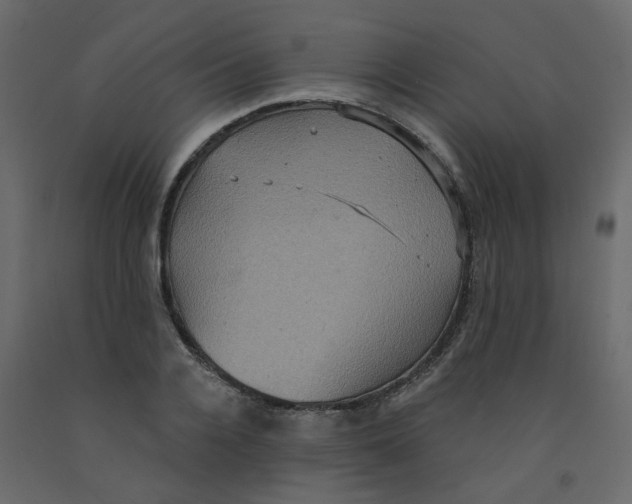 X0000092110936200710101140