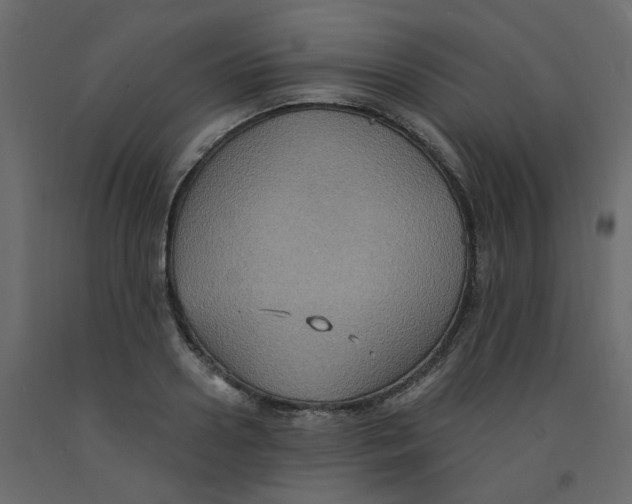 X0000092110938200710101140