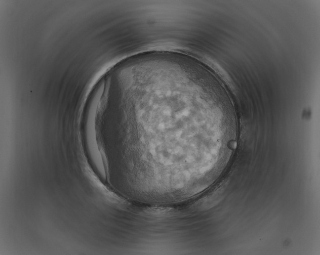 X0000092110939200710101140