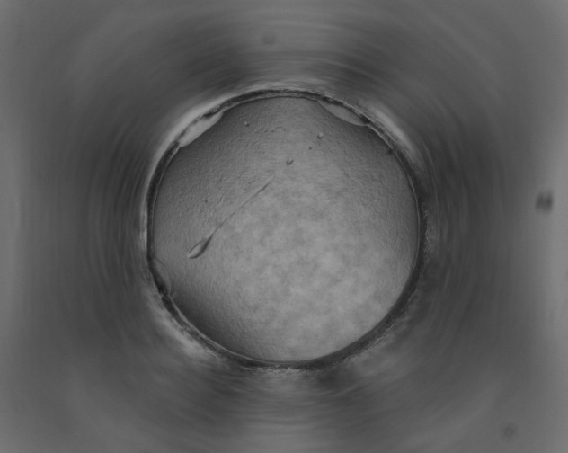 X0000092110940200710101140