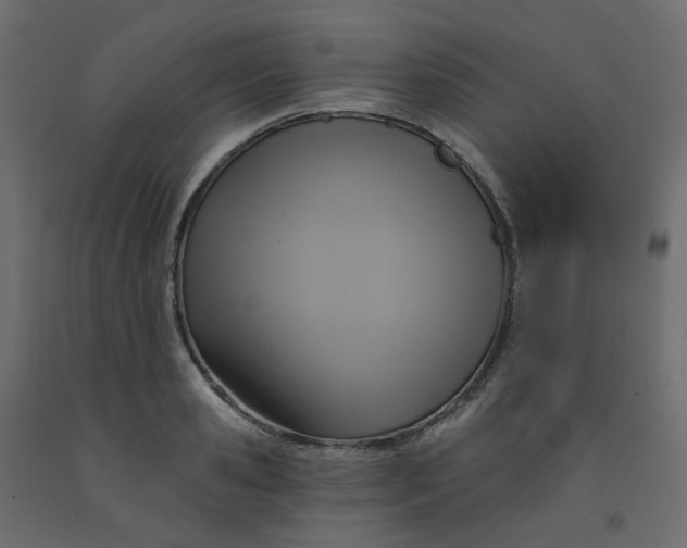 X0000092110941200710101140