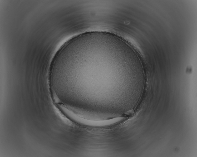 X0000092110942200710101140