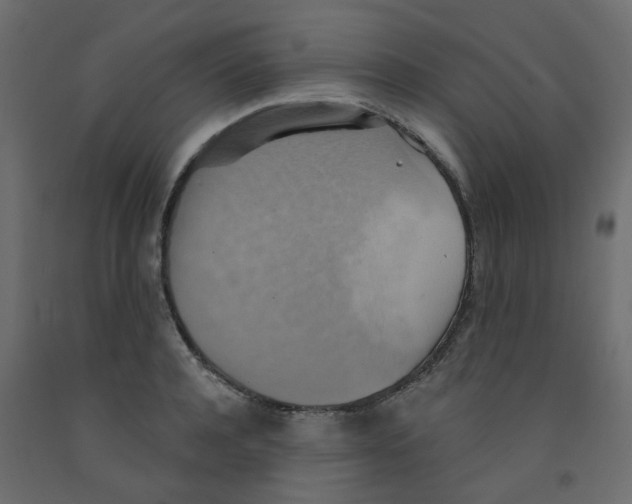 X0000092110944200710101140