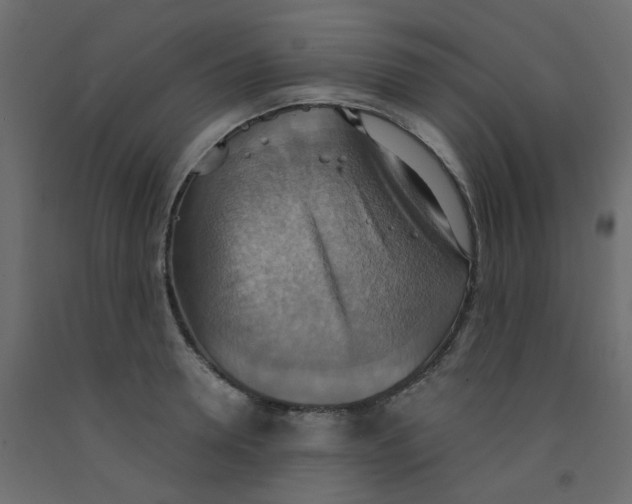 X0000092110946200710101140