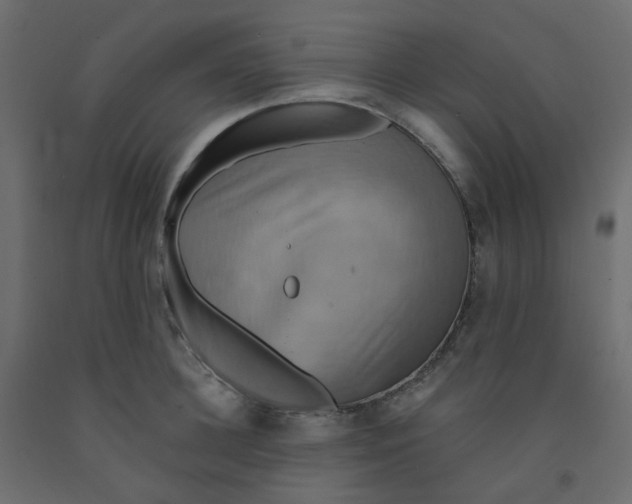 X0000092110948200710101140