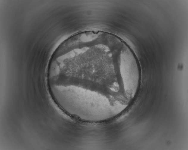 X0000092110949200710101140
