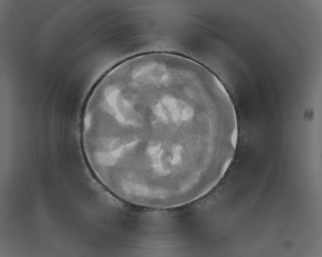 X0000092110950200710101140