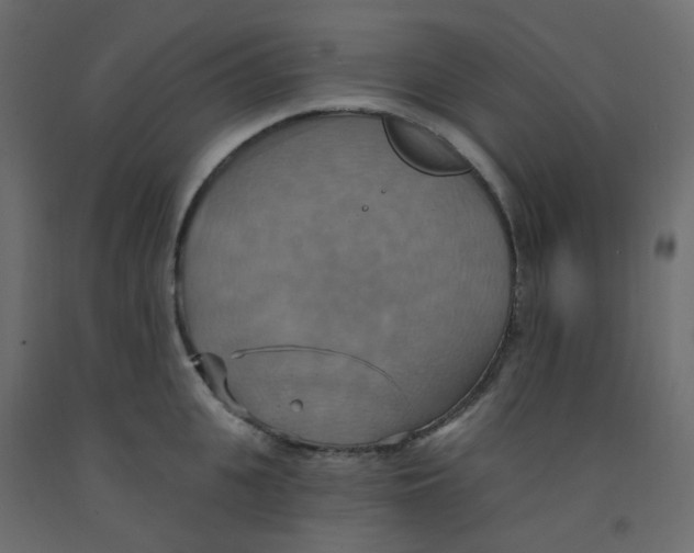 X0000092110951200710101140