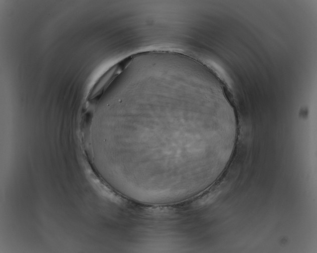 X0000092110952200710101140