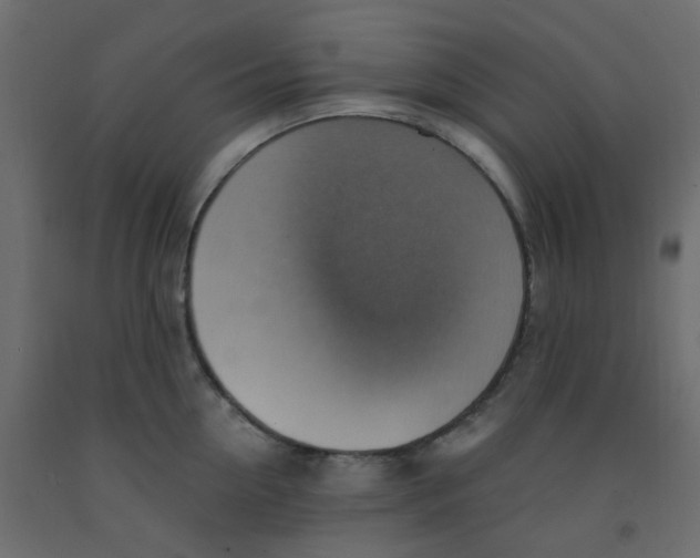 X0000092110954200710101140