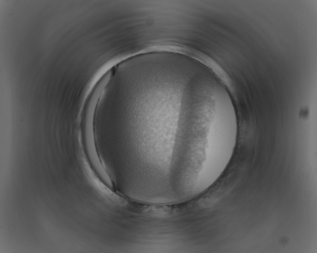 X0000092110955200710101140
