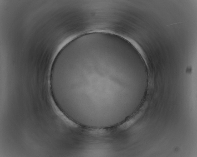 X0000092110957200710101140