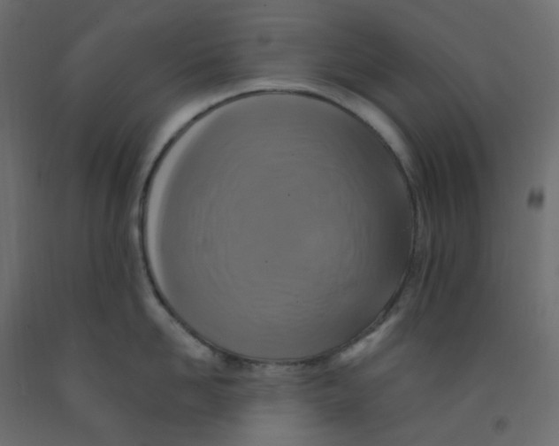 X0000092110958200710101140