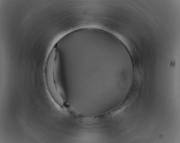 X0000092110959200710101141