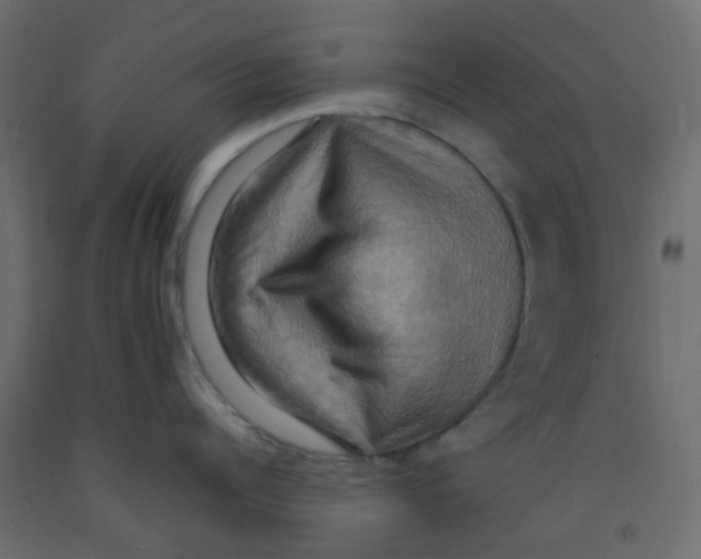 X0000092110960200710101141