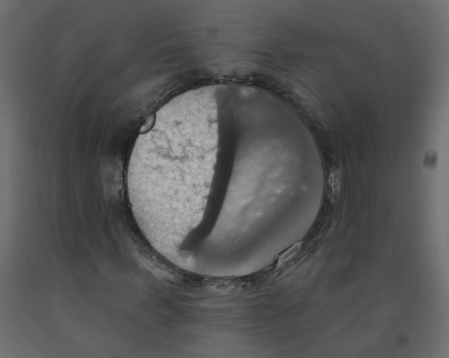X0000092110963200710101140