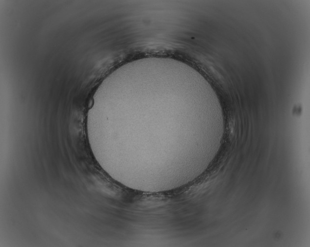 X0000092110964200710101140