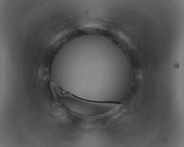 X0000092110965200710101140