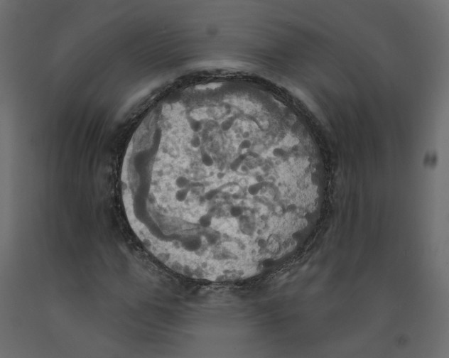 X0000092110967200710101140