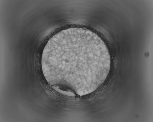 X0000092110968200710101140