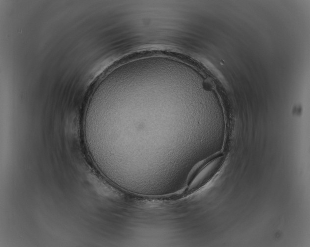 X0000092110969200710101140