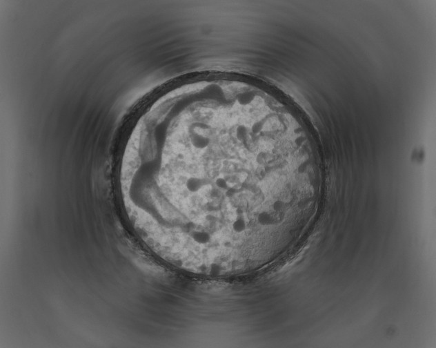 X0000092110971200710101140