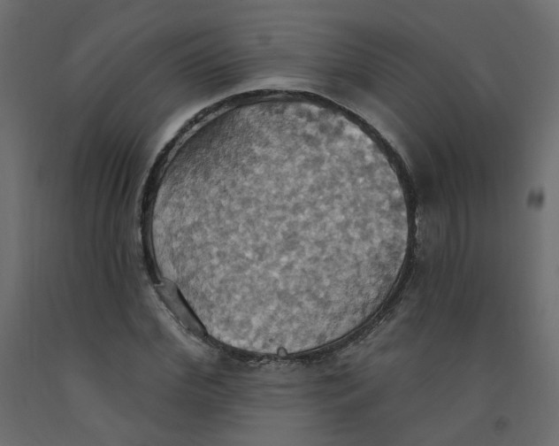 X0000092110972200710101140