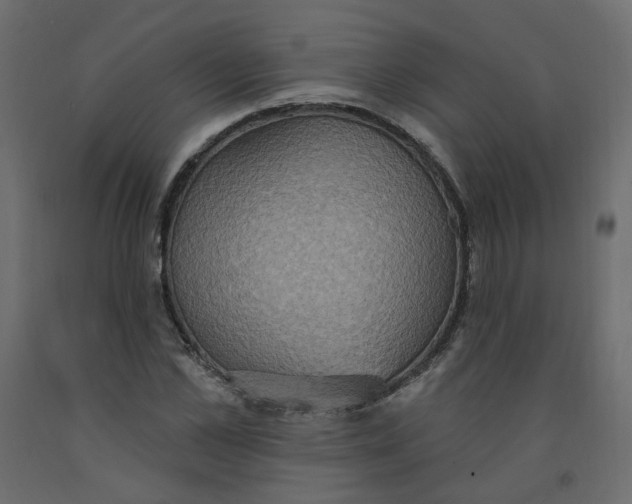 X0000092110973200710101140