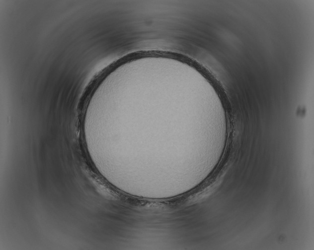 X0000092110974200710101140