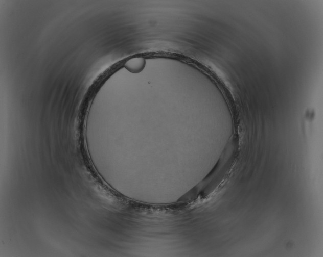 X0000092110975200710101140