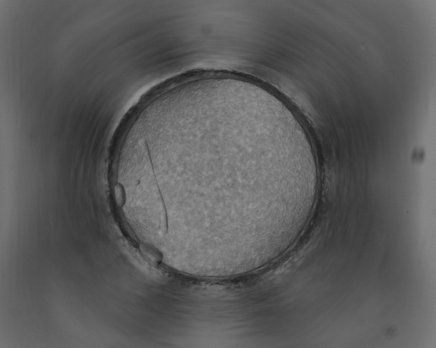 X0000092110976200710101140