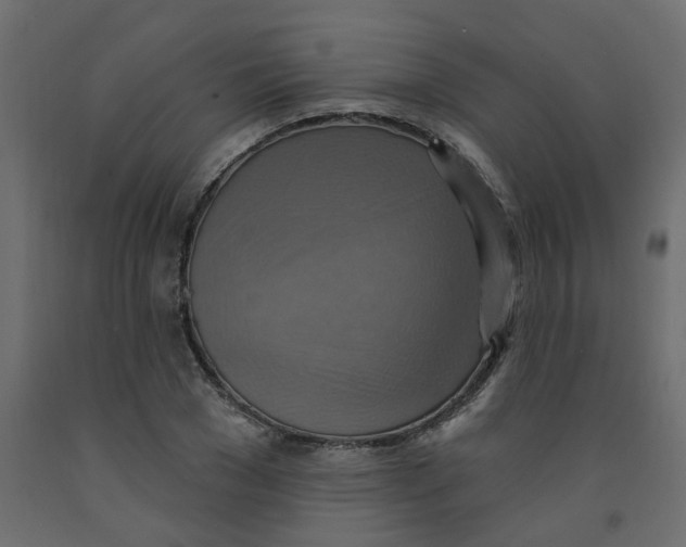 X0000092110977200710101140