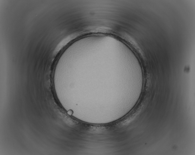 X0000092110978200710101140
