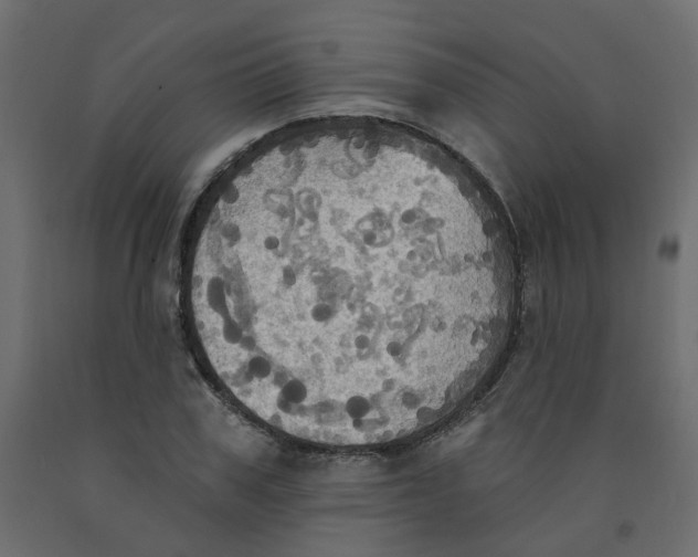 X0000092110979200710101140
