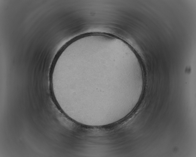 X0000092110980200710101140