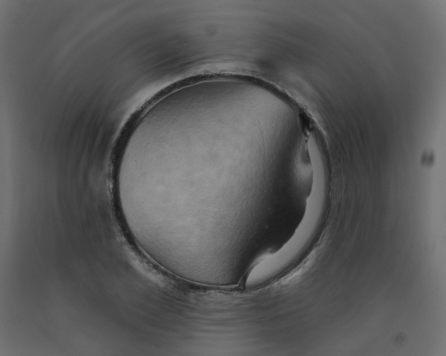 X0000092110981200710101139