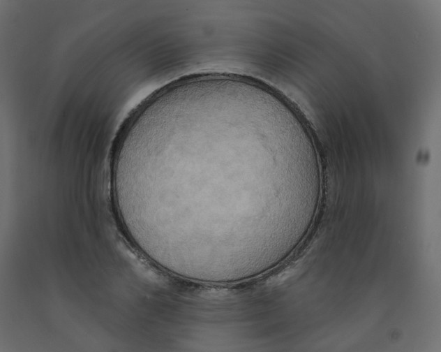 X0000092110982200710101139