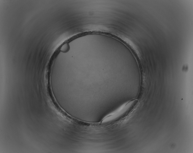 X0000092110983200710101139