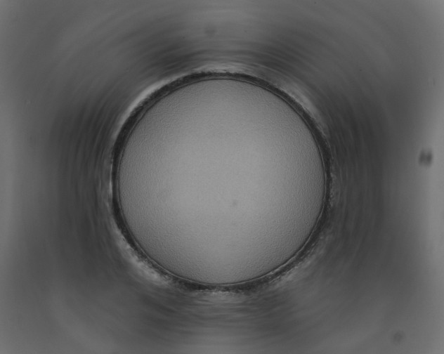 X0000092110984200710101139