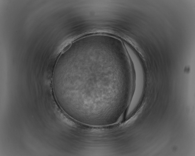 X0000092110985200710101139