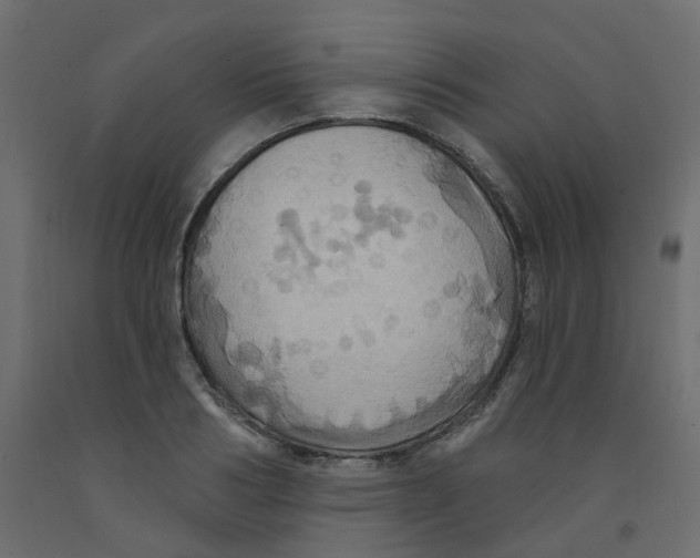 X0000092110986200710101139