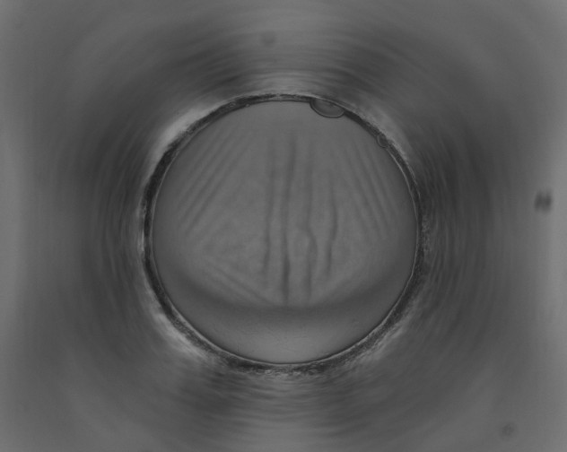 X0000092110987200710101139