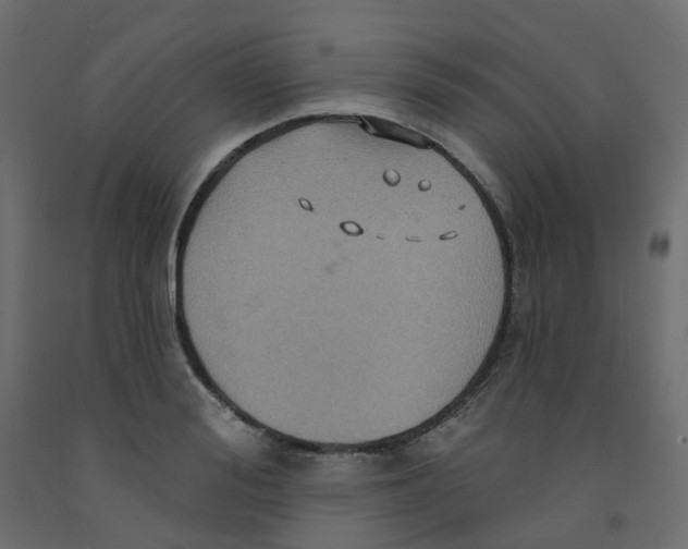 X0000092110988200710101139