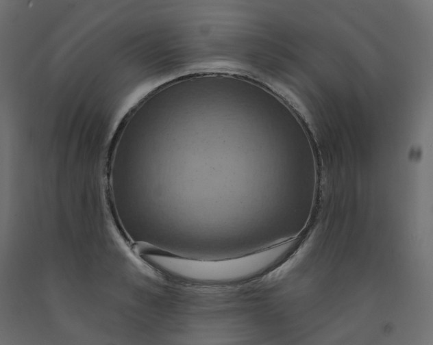 X0000092110989200710101139