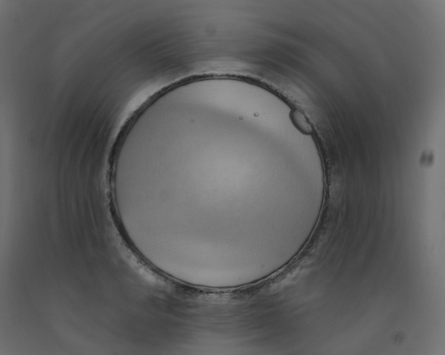 X0000092110990200710101139