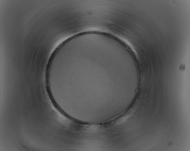 X0000092110991200710101139